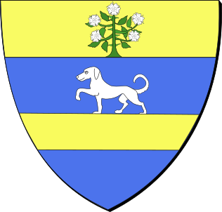 Blason Viany coat of arms